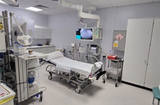 {{brizy_dc_image_alt imageSrc=